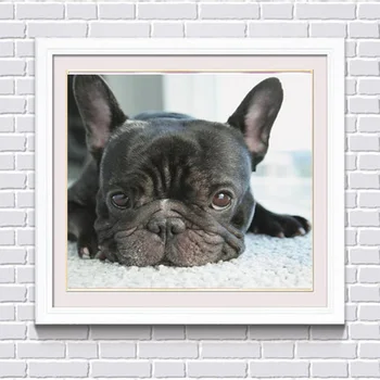 

5D DIY Diamond Painting Dog Square Diamond Rhinestone Cross Stitch Kit Embroidery Animal Mosaic Home Decor Fresco F25