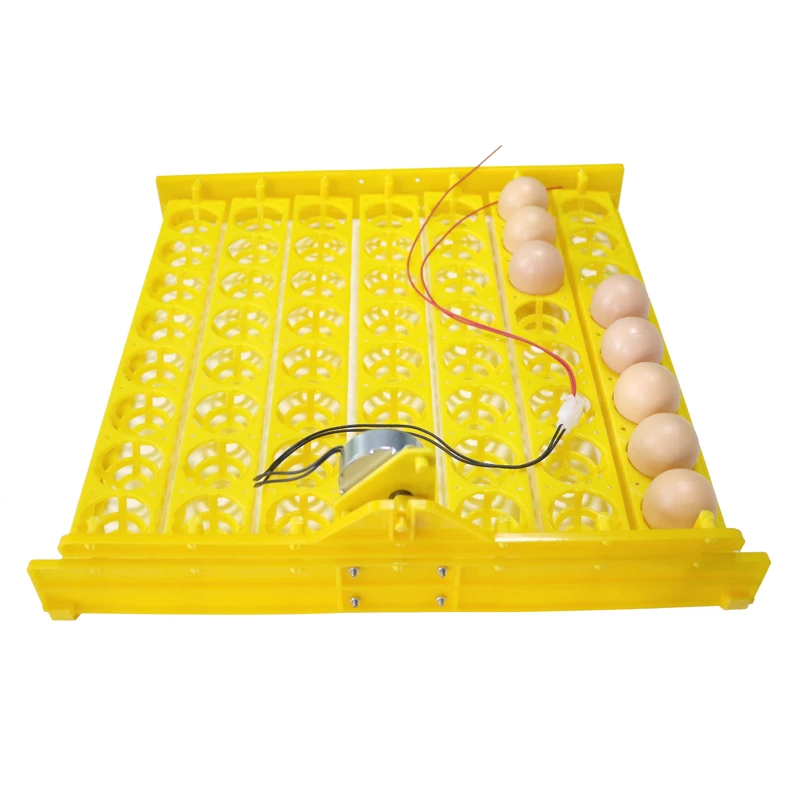 56 Eggs Incubator Chicken Duck And Other Poultry Automatic Incubator Poultry Eggs Poultry Incubation Equipment 56 Eggs Incubator Chicken Duck And Other Poultry Automatic Incubator Poultry Eggs Poultry Incubation Equipment