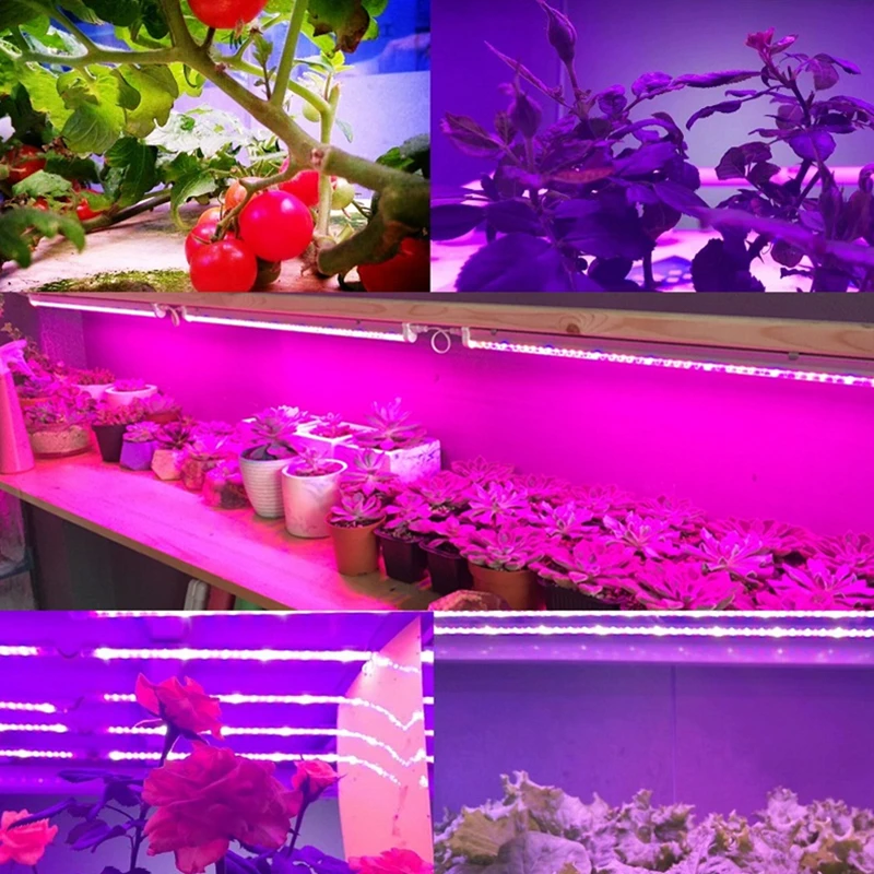  ReBlue Lamp For Plants Phyto-Lamp Led Grow Light 12W T5 Grow Light For Flower Full Spectrum Grow Le - 32982881910