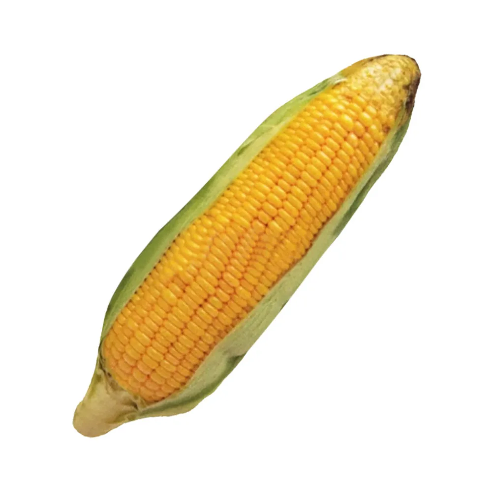 CWJ81219101_20181219110955978