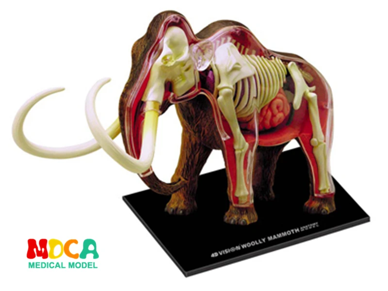 

Educational Designer Toys 4D Forest Animals Puzzle Master Simulation DIY Anatomical model for Children mkd3 mammoth Elephant