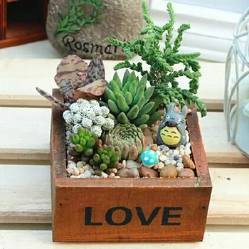 

Mini Desktop Wooden Succulent Plants Flowers Pot/ Storage Box
