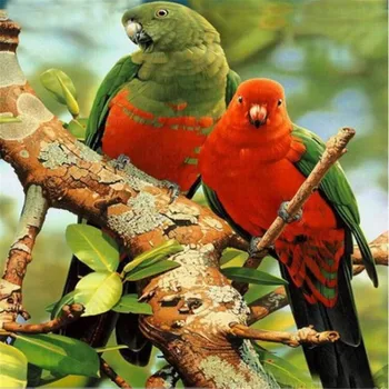 

5D DIY Diamond Mosaic DIY Diamond painting cross stitch Painting Crafts Diamond Embroidery Decoration Gifts Beautiful parrot