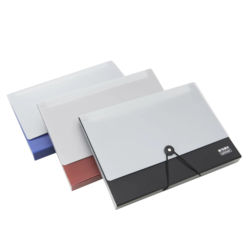 

M&G 13-Pocket Poly Accordion Expanding Wallet File, Buton Closure ,Junior Size for Receipts and Checks, Includes Tabs AWT91947