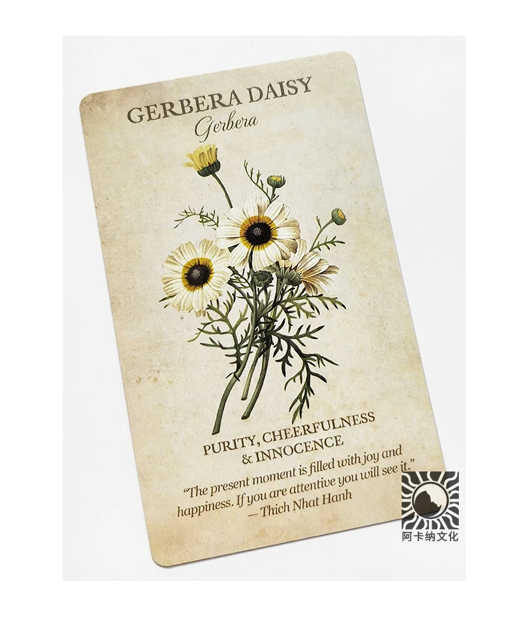 TB2LhDogbsTMeJjSsziXXcdwXXa_!!50265016