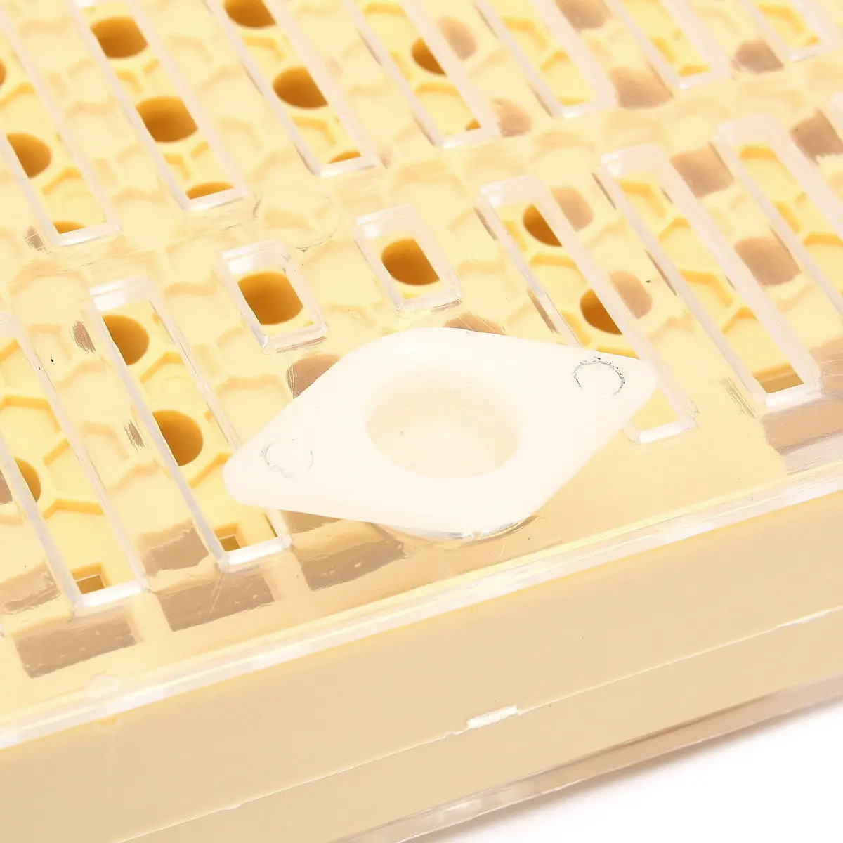 155pcs/Set Plastic Queen Rearing System Cupkit Mayitr Cultivating Box Cell Cups Bee Catcher Cage Beekeeping Tool Equipment