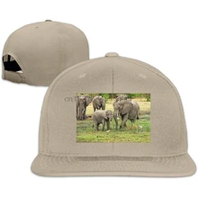 Создайте свой собственный унисекс Snapback Регулируемая Кепка для грузовика спортивная шапка для путешествий натуральный Африканский Буш слон бейсболка Плоская Шляпа(1