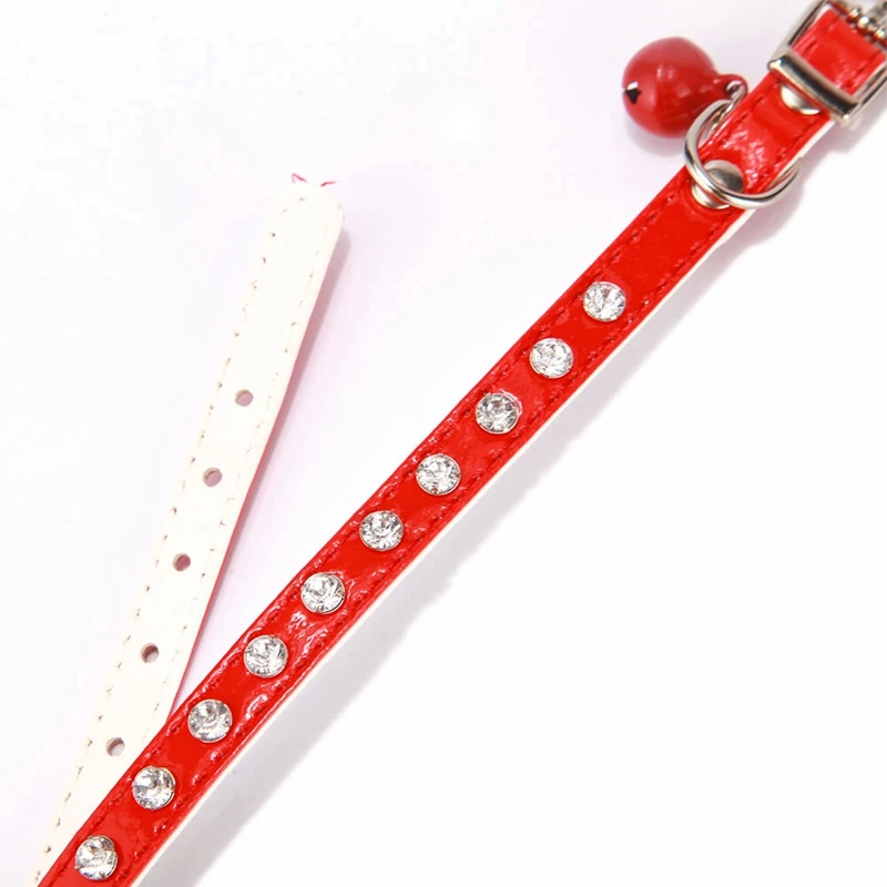 dog collar (5)