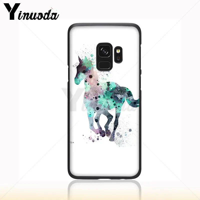 horse animal