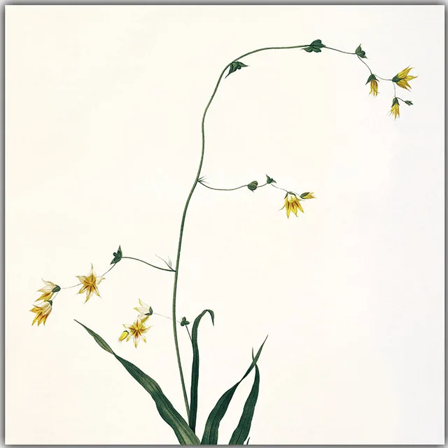 Fresh-Nature-Flowers-Are-Modern-and-Simple-Canvas-Painting-Art-Print-Poster-Picture-Wall-Paintings-Home.jpg_640x640 (1)