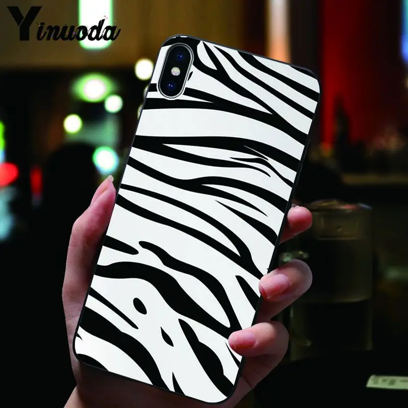 Animal Black white Zebra Stripe
