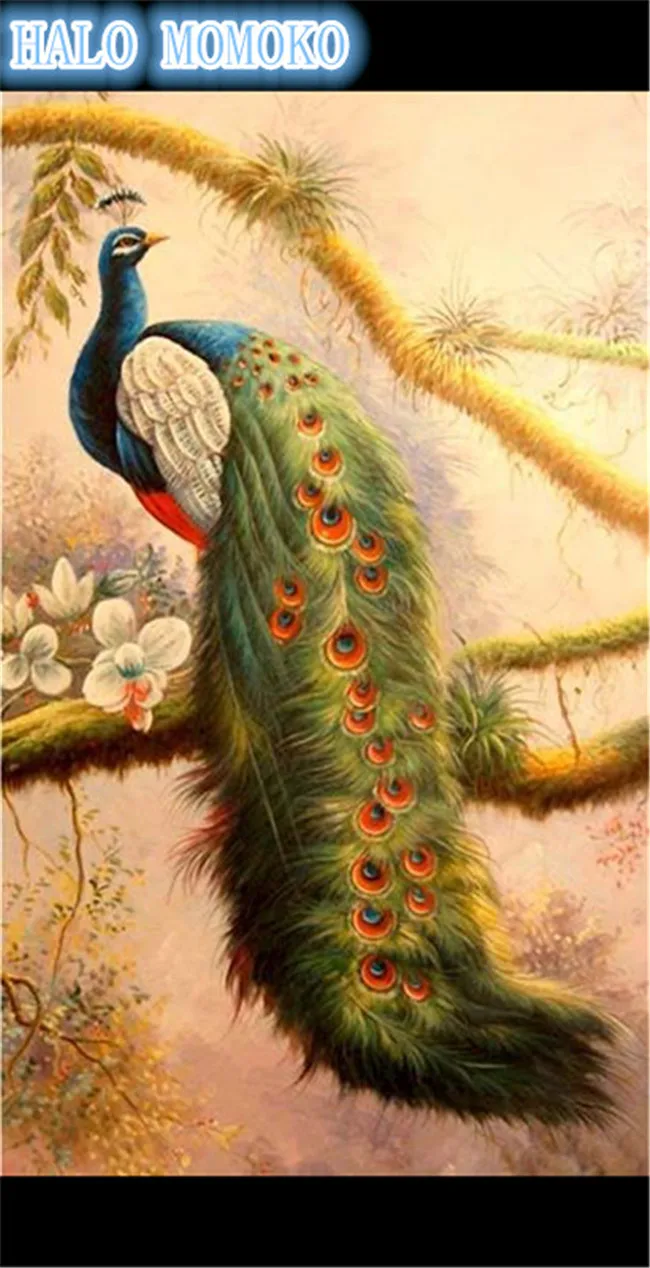 A5099