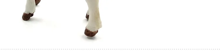 -7---MY6221_46