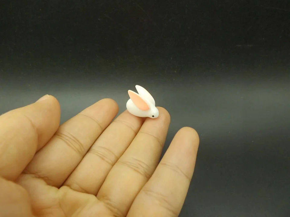 Tiny-A052Rabbit (5)