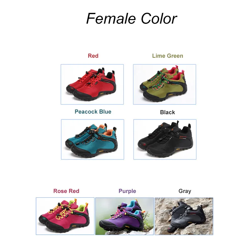 086details-1_02