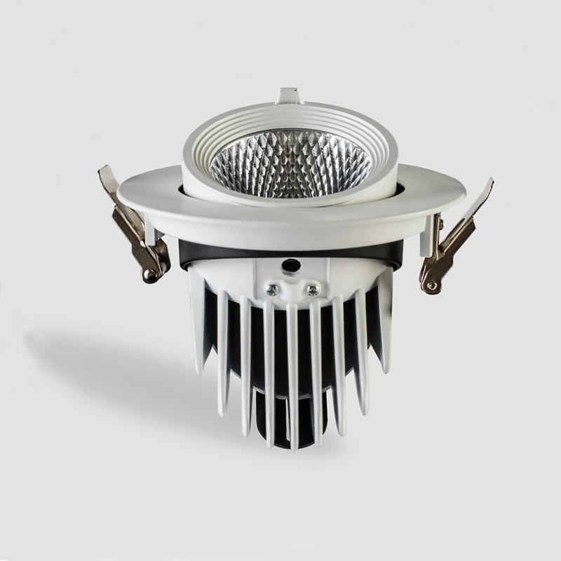 Super Bright 5W 7W 10W 12W 15W 20W 30W 35W LED Trunk Light Gimbal Light Adjustable COB Rotation Recessed Ceiling Downlight AC220V (3)
