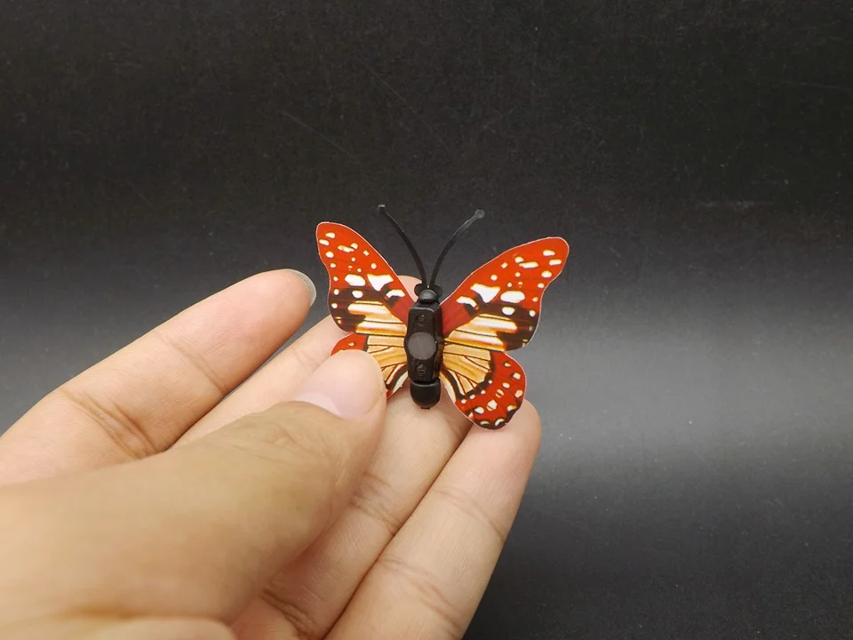 I257-Butterfly (4)