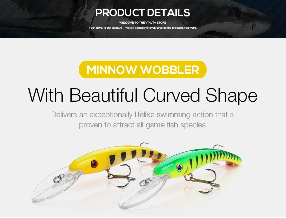 Black Minnow Lure1