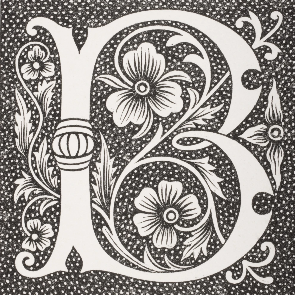 Decorative Capital Letter B Poster Print (14 x 15)