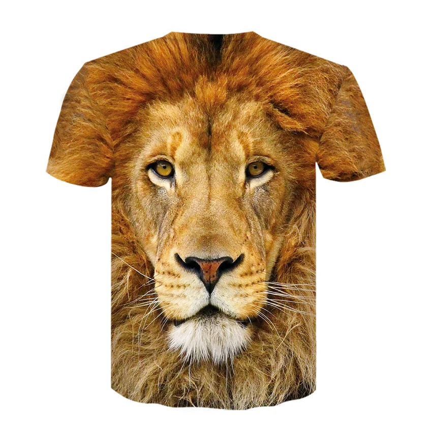 D-302-T恤短袖模板-后