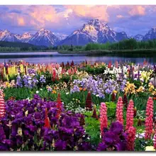 На заказ Алмазная картина Полная площадь/Круглый Мультфильм Цветок Горный пейзаж eigen foto Алмазная вышивка аксессуары eid коробка