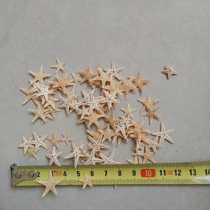 HTB1.fu.LpXXXXcDapXXq6xXFXXXb