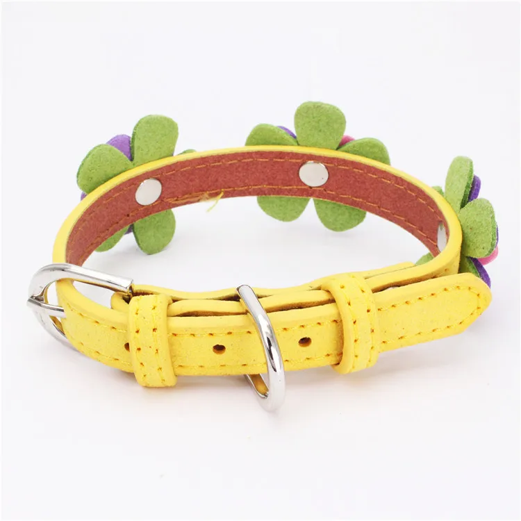 dog collars (6)