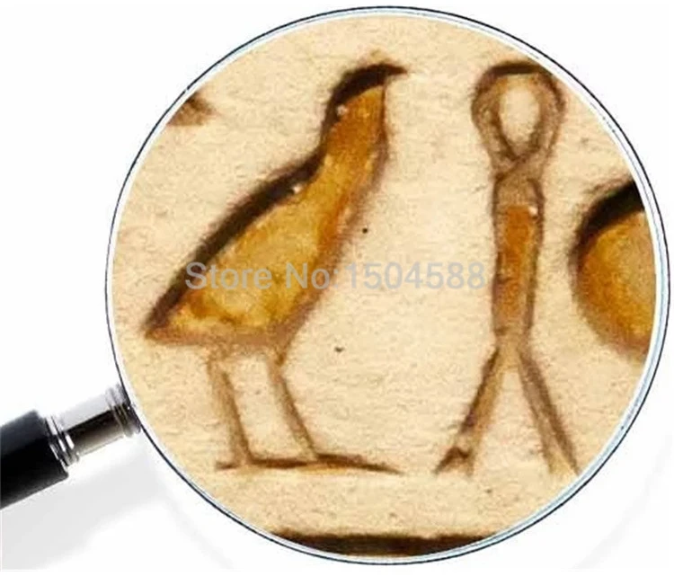 papel de parede foto estilo fundo de decoração