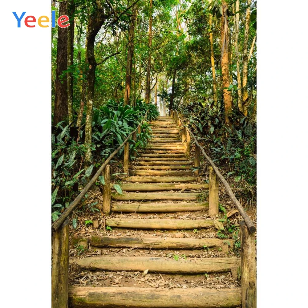 

Yeele Stairs Jungle Forest Trees Spring Landscape Photography Backgrounds Customized Photographic Backdrops for Photo Studio