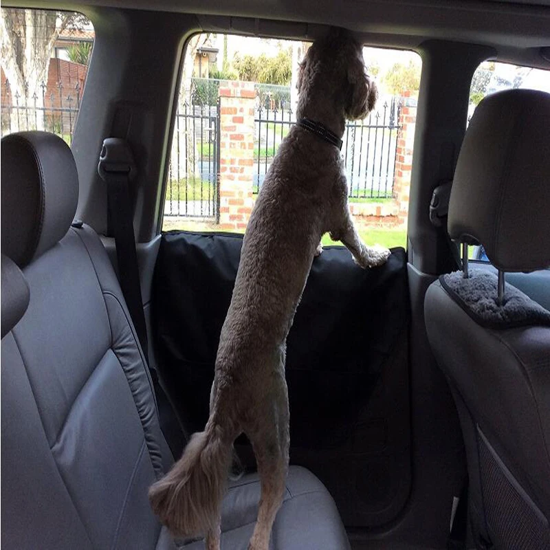 dog shield for car