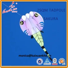 2 кв. м. Головастик кайт, мягкий кайт, шоу змей, погрузчик