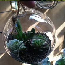 ; 8 шт./лот 10 см Диаметр Висячие емкости для гидропоники шарики растений и цветами из кристаллов; круглые вазы для свадебных украшений