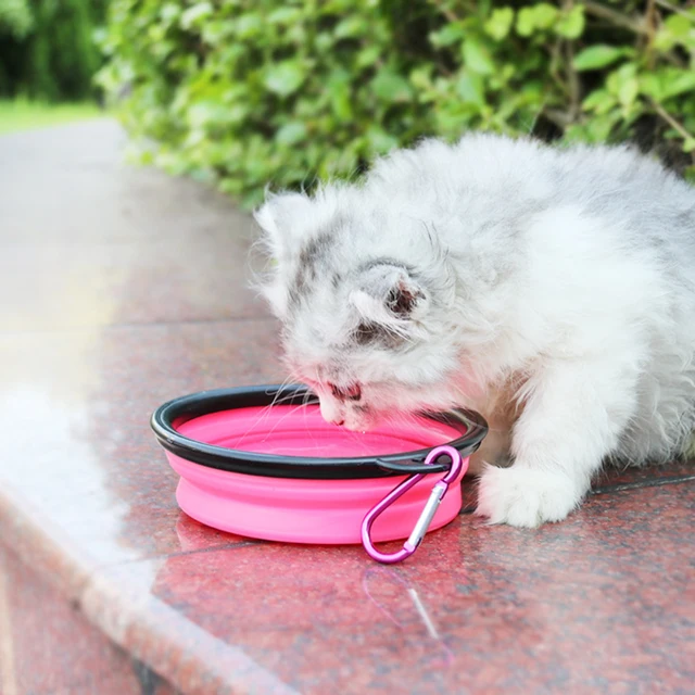 2 En 1 De Voyage Eau Nourriture Animaux De Compagnie Bol