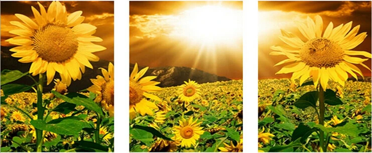 

sunflower cross stitch patterns Flowers diamond painting kit square drill diamond rhinestone pasted painting diy room decoration