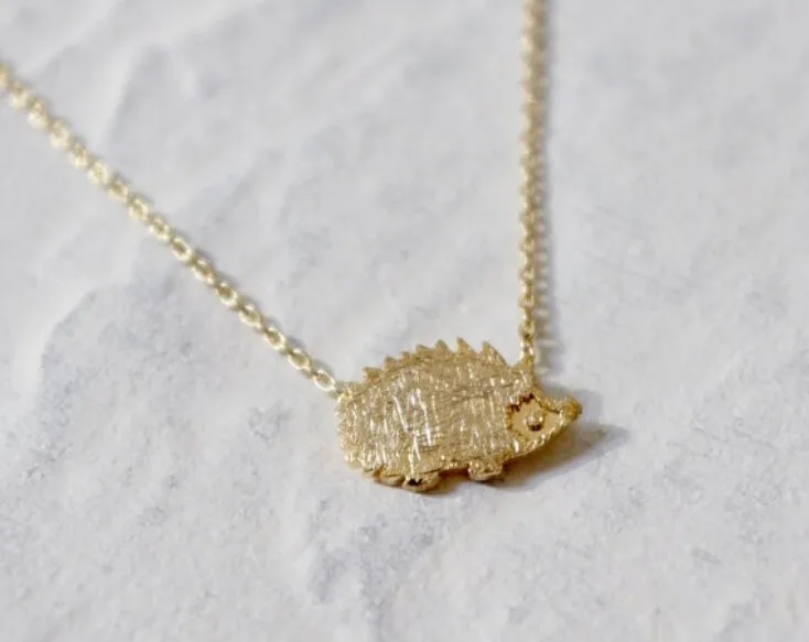 hedgehog1