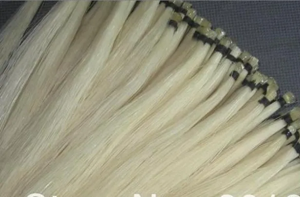 Pasted Image 0_5.jpeg