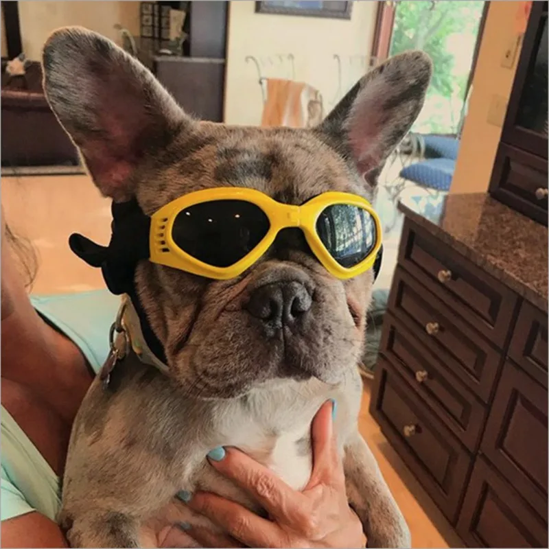 Модные ПЭТ собачьи очки для средних и больших собак Pet очки для животных водостойкие защитные очки для собак УФ солнцезащитные очки Новые