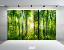 Fundos fotográficos de Casamento Crianças Da Árvore Da Floresta Verde Foto Backdrops Vinil Fundo Para Estúdio de Fotografia Fundo Fotografia