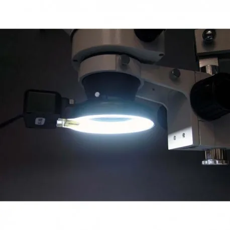 FRL12-A-microscope-4