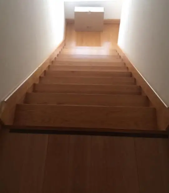 36020171204094409208