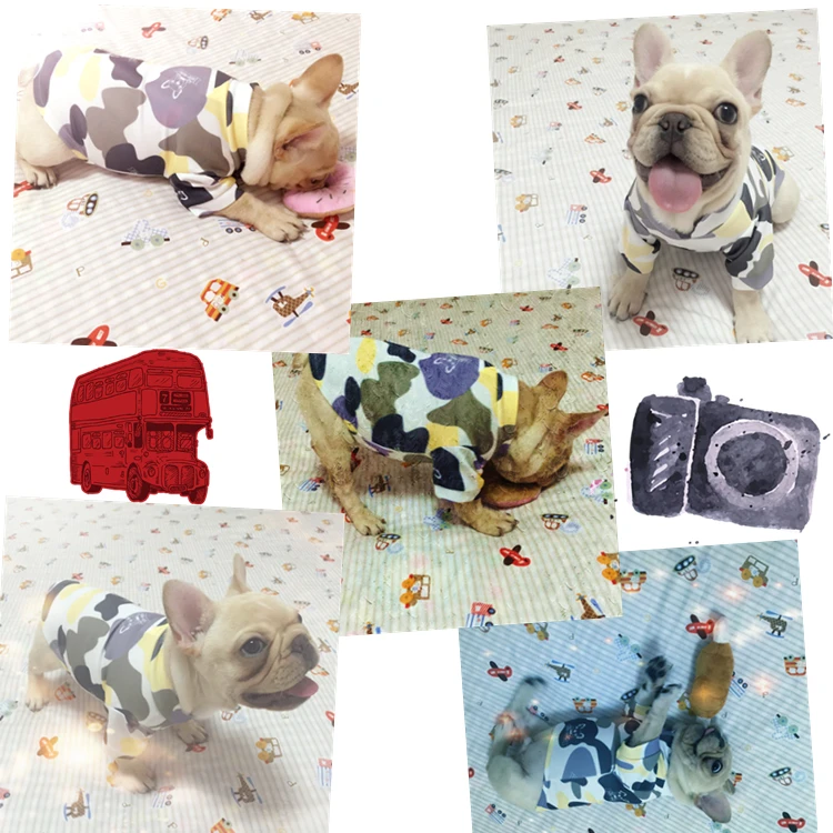 Dogs Clothes (9)