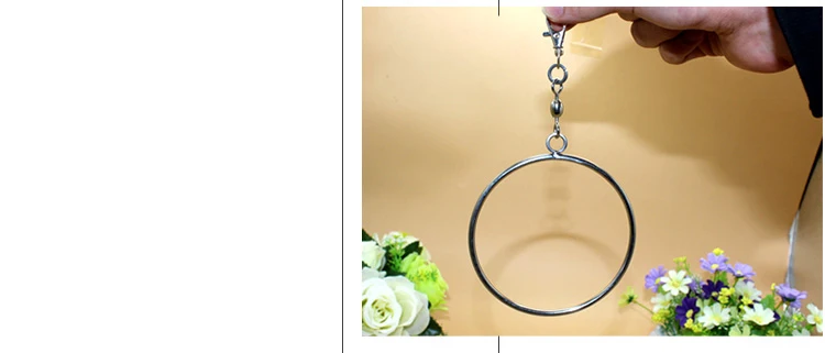 Hanging Paw Swing Tool (9)