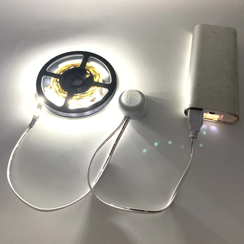 USB 5V Motion Sensor Light LED Night Light luminaria Kitchen Light Bed Lamp PIR USB LED