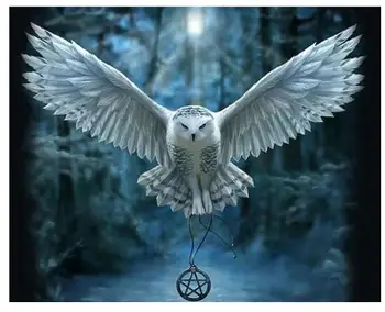 

5808 Awaken Your Magic Owl Pentagram - Paint by Numbers Kits for Adults DIY
