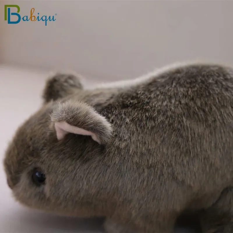 1 шт. 18 см Моделирование Плюшевые вомбат свинки Cavia Porcellus игрушка чучело дикие животные куклы игрушки для малышей, детей подарок декор