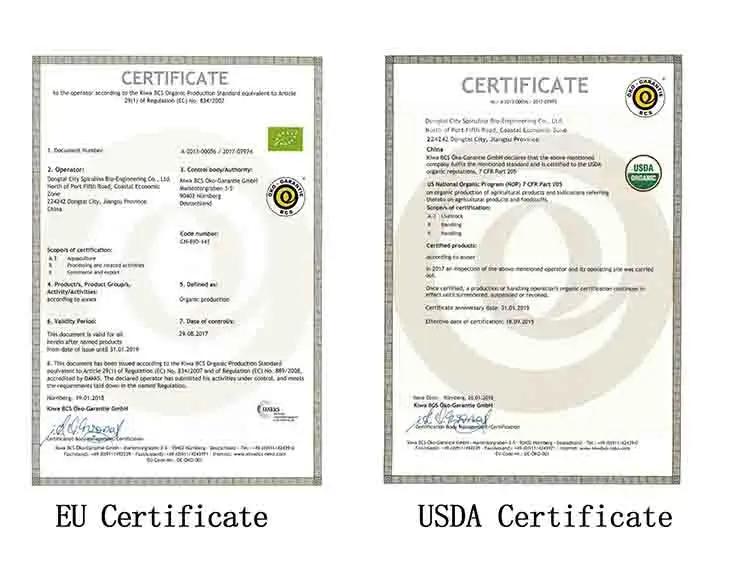 USDA и ЕС сертифицированный органический экстракт семян leek 10:1 экстракт клубня лук семян чеснока semen P.E