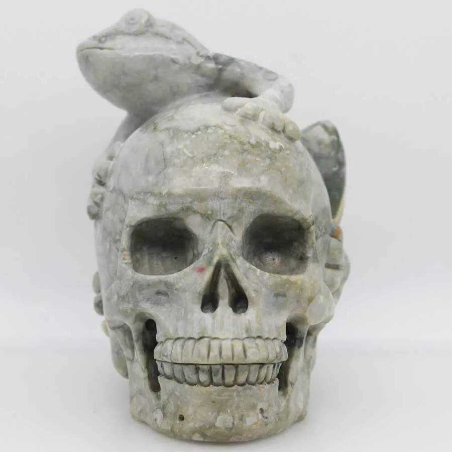 

6" 1826g,CRINOID JASPER Carved Frog Crystal Skull Crystal Realistic Crystal Healing Furnishing Articles Figurine AU15
