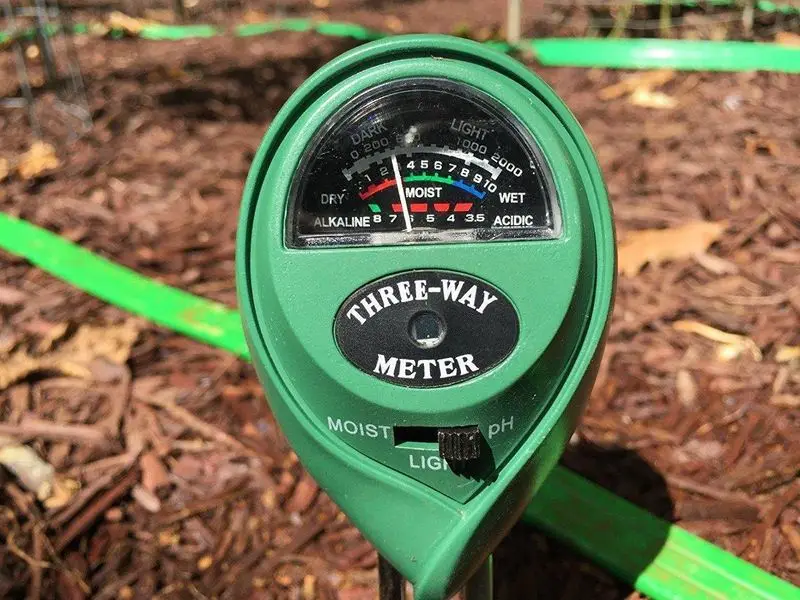 Moisture tester (7)