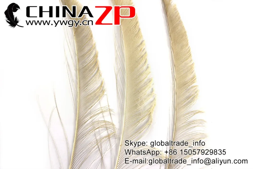 Ivory Peacock Sward Cut Feathers (4)