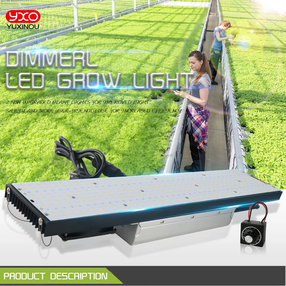 300W_01